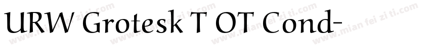 URW Grotesk T OT Cond字体转换